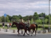 DSC00312.JPG