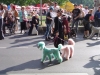 DSC00379.JPG