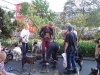 DSC00383.JPG