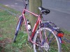 dsc01782.jpg