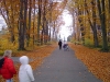 DSC00654.JPG