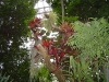 DSC00658.JPG