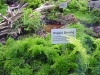 DSC00659.JPG
