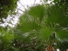 DSC00661.JPG