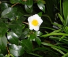 DSC00662.JPG