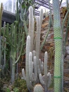 DSC00668.JPG
