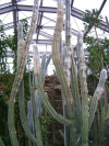 DSC00671.JPG