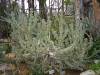 DSC00673.JPG