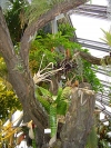 DSC00675.JPG