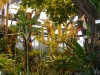 DSC00676.JPG