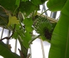 DSC00681.JPG