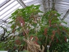 DSC00684.JPG