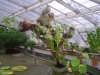 DSC00689.JPG