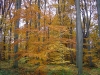DSC00692.JPG