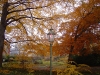 DSC00693.JPG