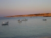 dsc00035.jpg