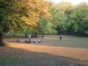 Park.jpg