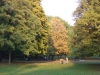 Park3.jpg